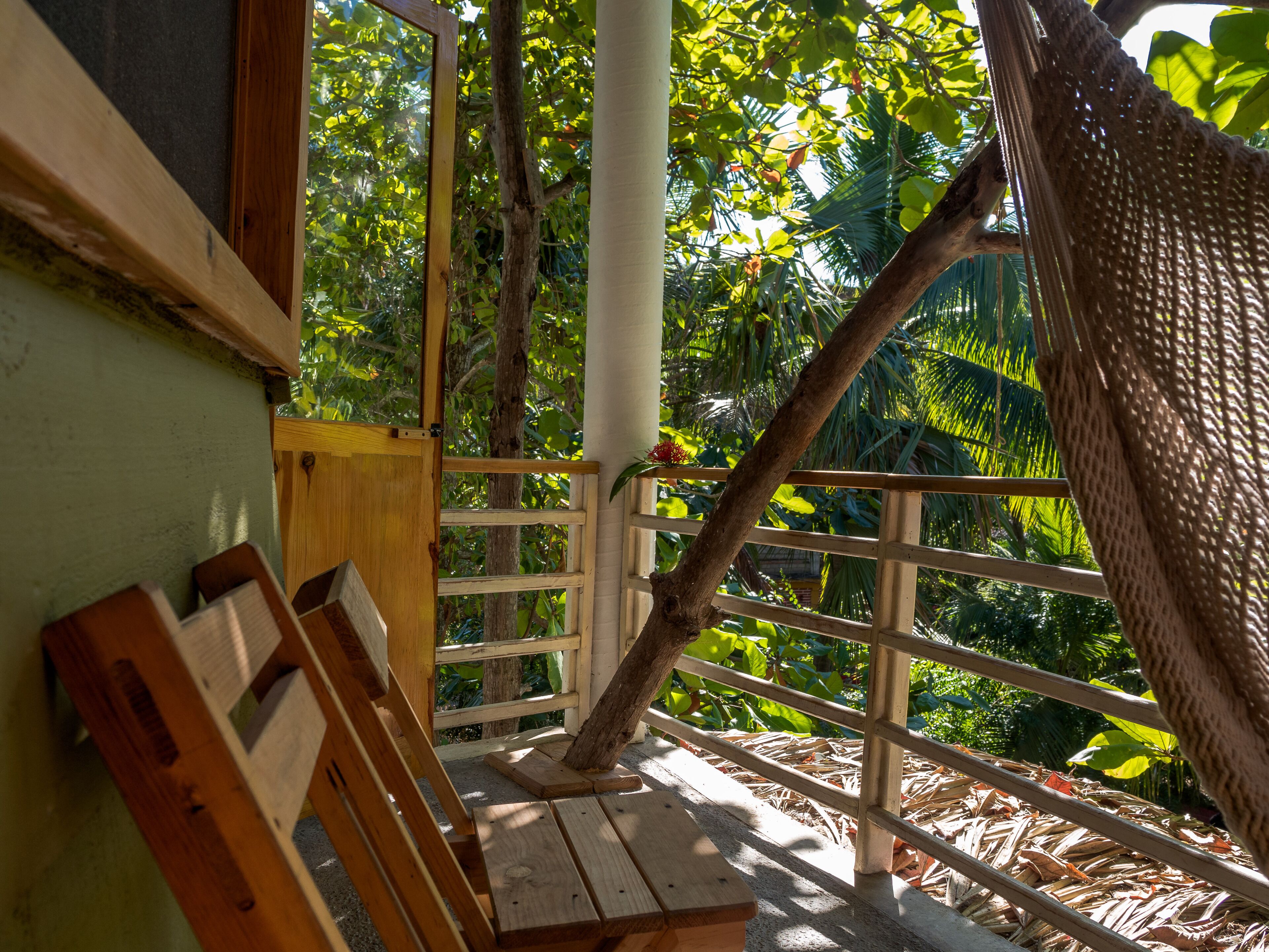 A wooden bench and a hammock in a shaded outdoor area with a view of lush greenery.