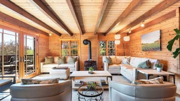 Älytelevisio, takka, kirjoja