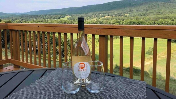 Una bottiglia di vino e due bicchieri su un tavolo con vista su un paesaggio verde e colline sullo sfondo.