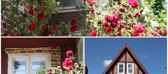 Living in the middle of Lüneburg's most beautiful district