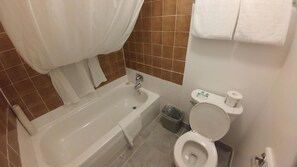 Combined shower/tub, free toiletries, hair dryer, towels