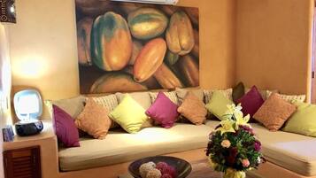 電視、DVD 播放機