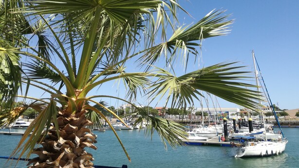 A marina with boats docked, palm trees, and a clear blue sky. - "Apartamento Amanecer "Vista al Campo, Golf, Piscinas, Playas - Cerca del Algarve (Ayamonte)