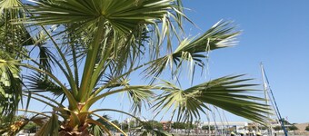 "Apartamento Amanecer"Vista al Campo, Golf, Piscinas, Playas - Cerca del Algarve