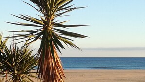A beach with a palm tree and a clear view of the ocean. - "Apartamento Amanecer "Vista al Campo, Golf, Piscinas, Playas - Cerca del Algarve (Ayamonte)