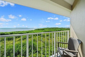 Property grounds - Airy Top Floor Blue Heron Suite; Ocean Pointe 3407 (Tavernier)