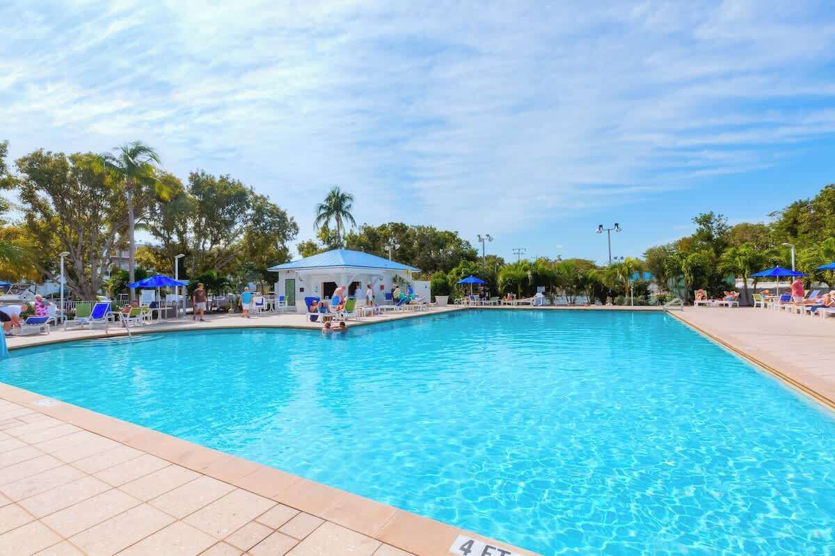 A swimming pool with lounge chairs and umbrellas, surrounded by palm trees and a covered pavilion.