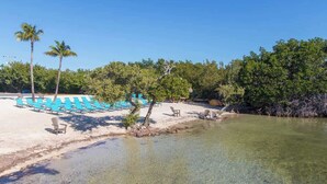 A beach with clear water, palm trees, and blue lounge chairs.