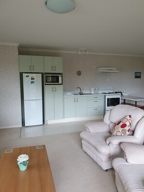 TV, DVD player - Tree Tops  Apartment opposite Pukekura Park (New Plymouth)