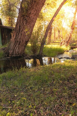 Parco della struttura