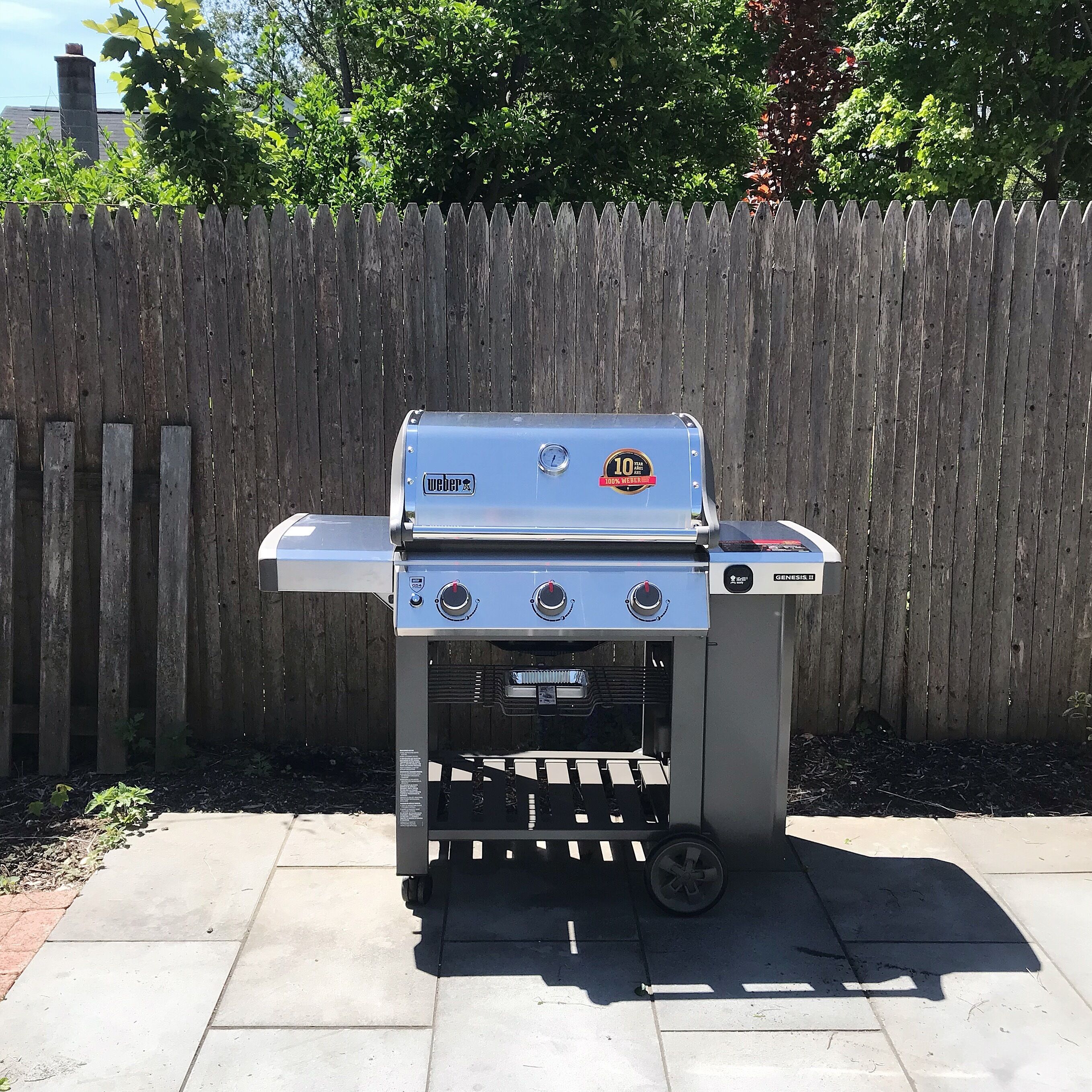 Weber Grill