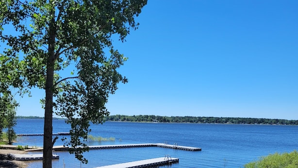 A lakeside view with a dock extending into the water, surrounded by greenery and clear skies.