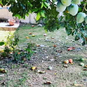 المنطق�ة المحيطة بالمنشأة