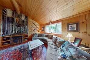 Télévision, cheminée, lecteur de DVD