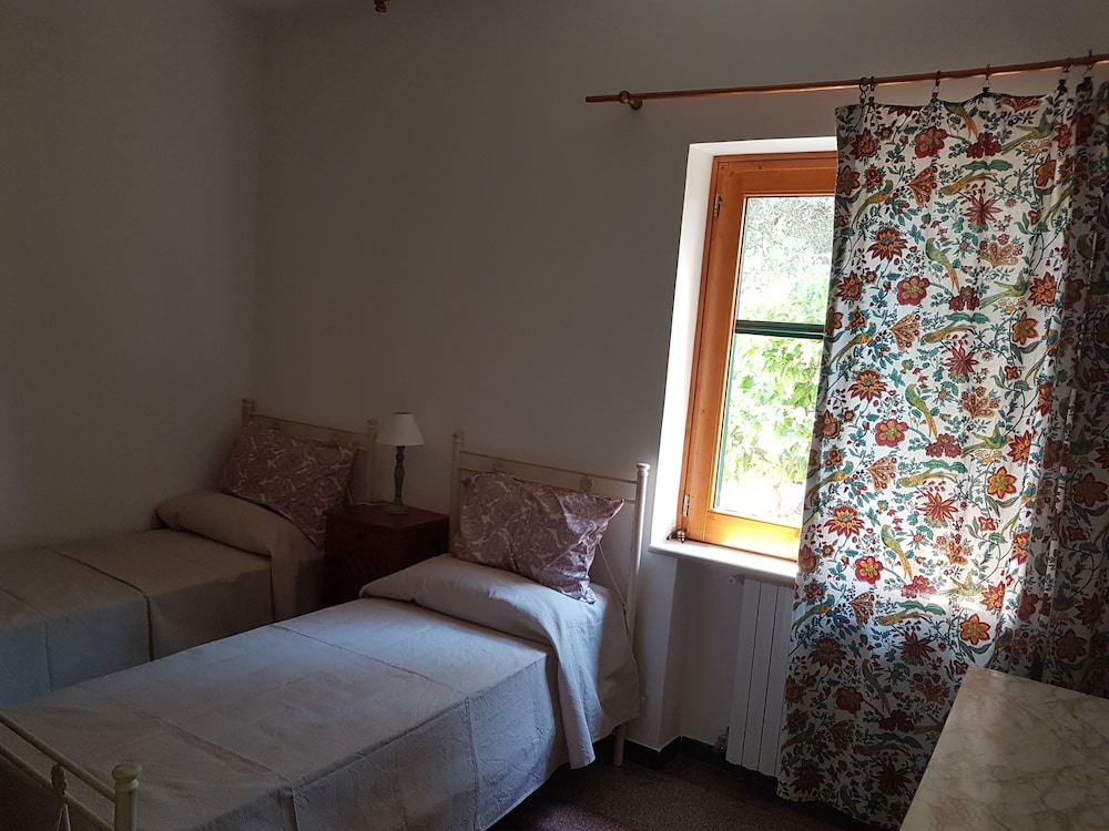 Country House "Casa Mia" In The Evergreen Olive Grove - Apúlia