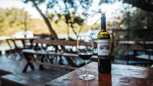 Una botella de vino y una copa sobre una mesa de madera al aire libre.