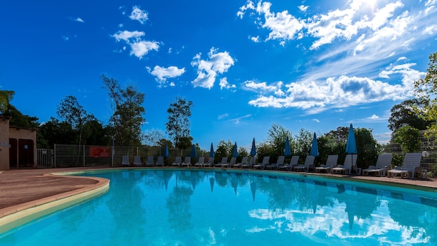 A swimming pool with lounge chairs and umbrellas, surrounded by trees and a clear sky.
