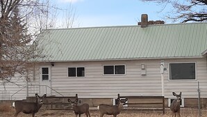 A house with a green roof, a front porch, and a yard with four deer. - Get away from the hustle and bustle in an outdoor paradise! (Saratoga)