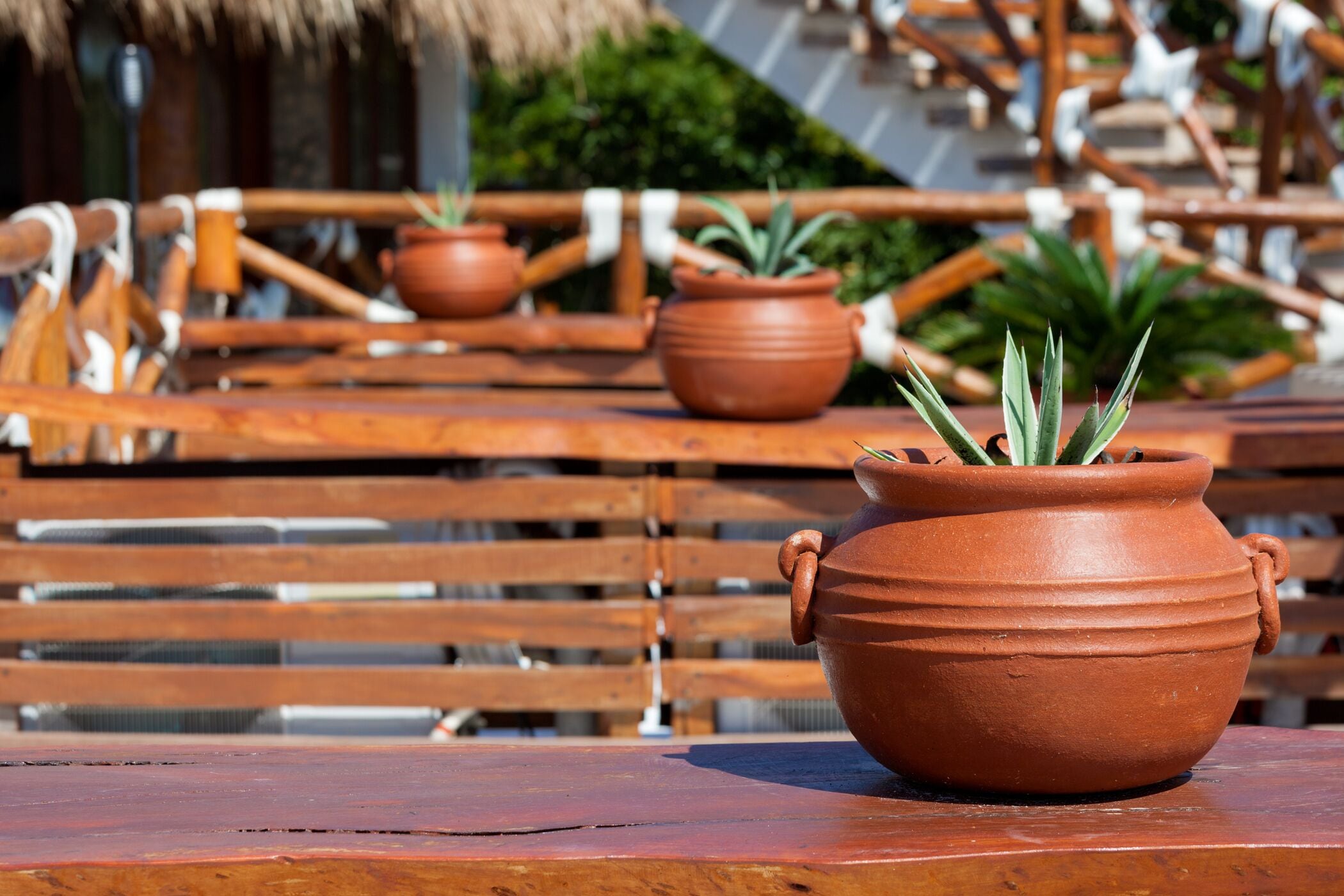 Photo - Hotel Para Ti - Adults Only