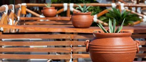 Terracotta pots with plants on a wooden table.