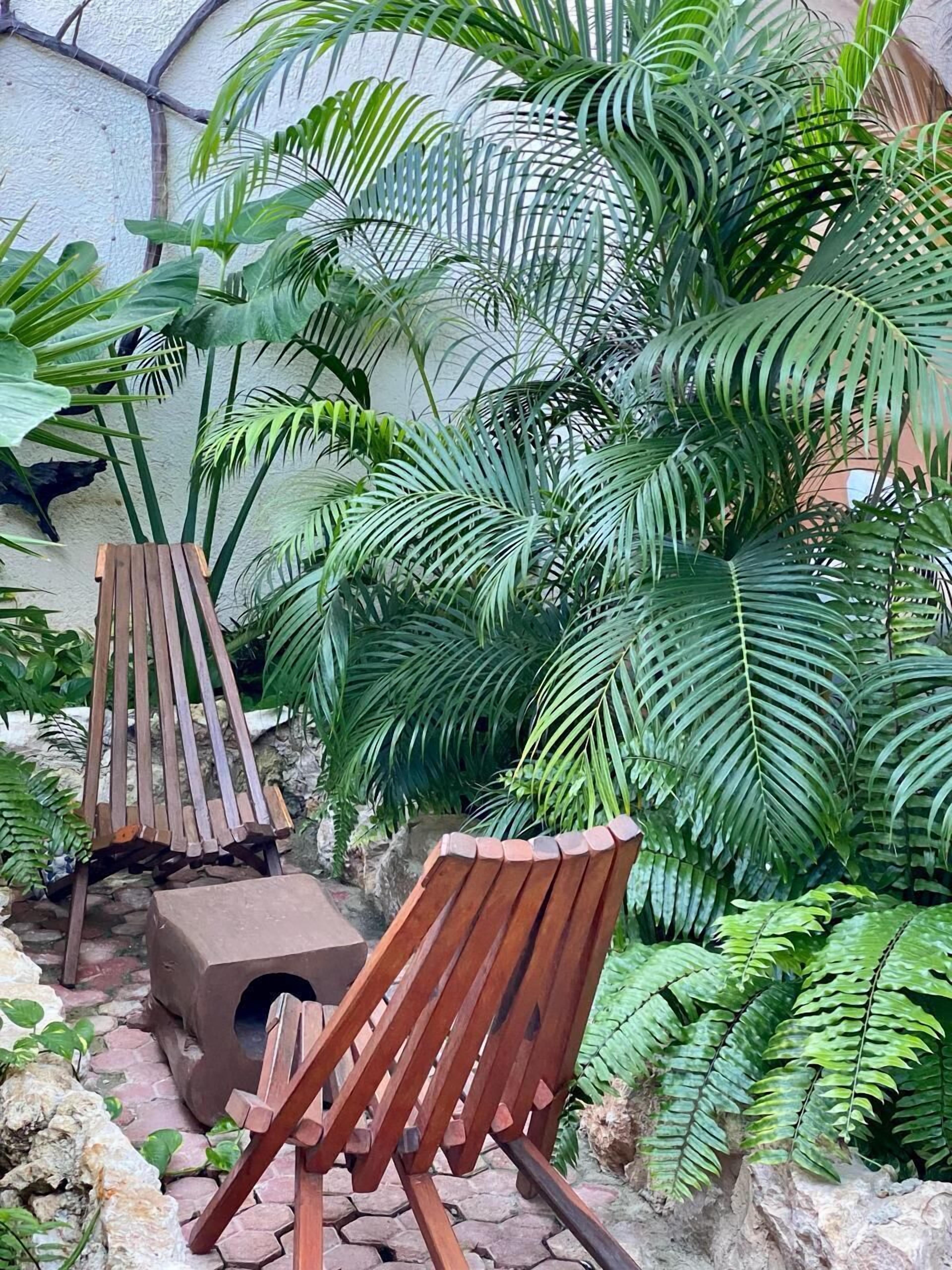 A wooden bench and a small pet house in a garden with lush green foliage.