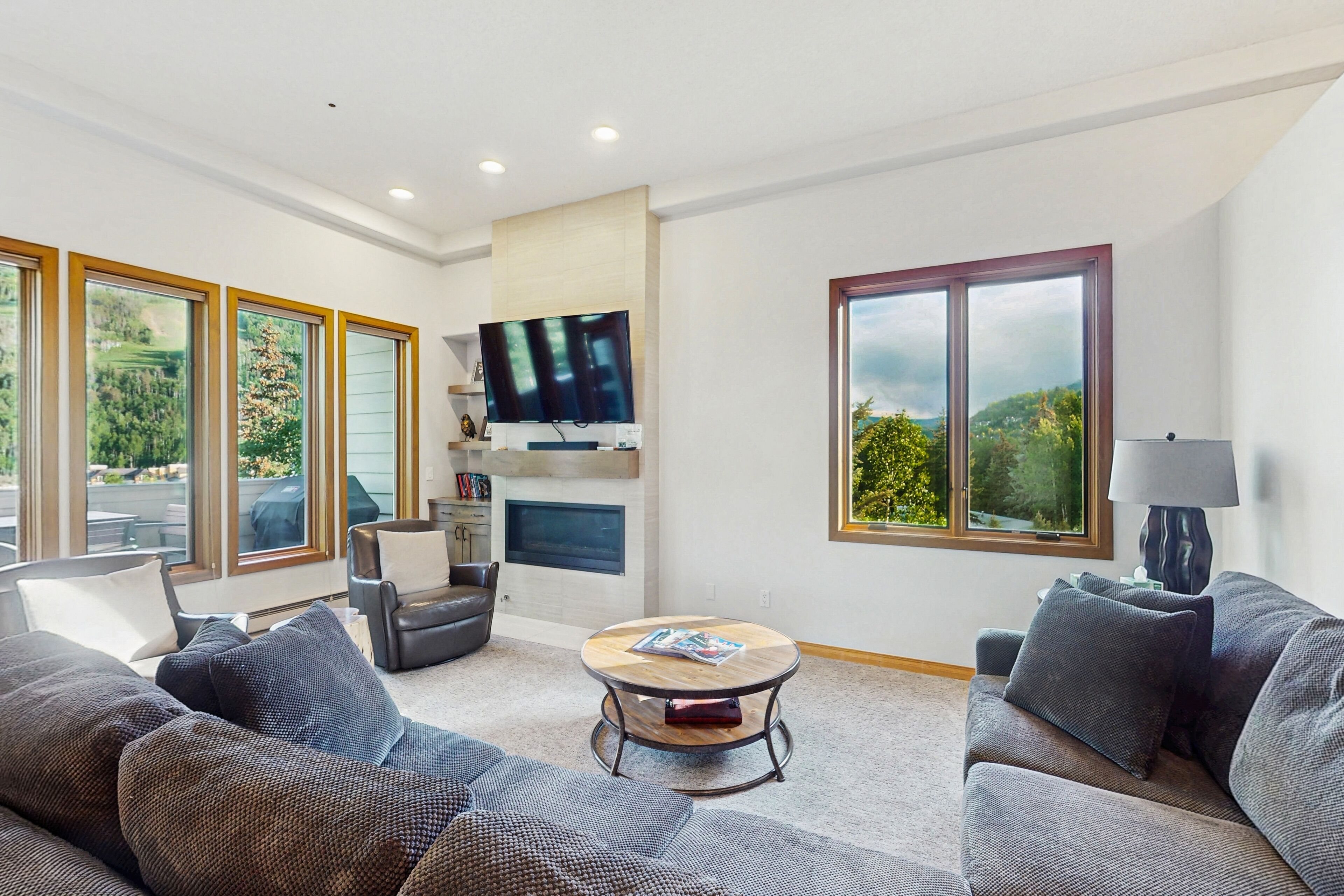 Télévision, cheminée, livres