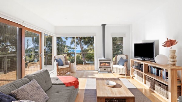 TV, fireplace, DVD player