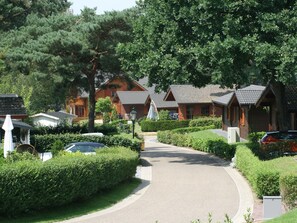 A residential area with a paved driveway leading to a row of wooden houses with sloped roofs. - Comfortable Chalet Near Brunssummerheide (Brunssum)