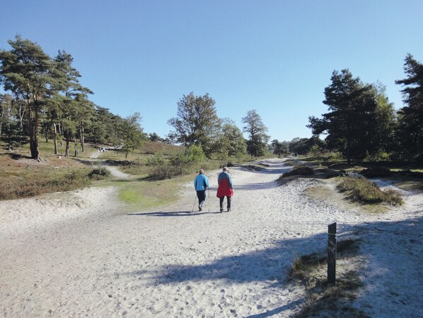 A sandy path with two people walking away from the camera, surrounded by trees and shrubs. - Comfortable Chalet Near Brunssummerheide (Brunssum)