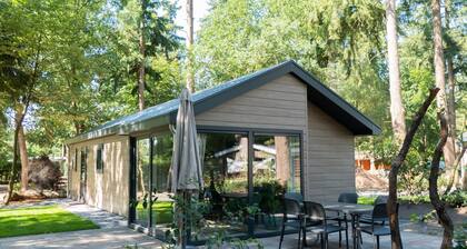 Modern Chalet With Dishwasher