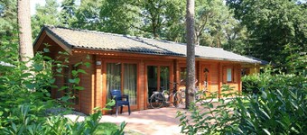 Wooden Chalet Located in the Achterhoek