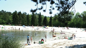 A beach with people swimming and playing, surrounded by trees.