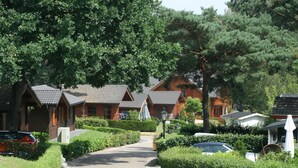A row of wooden cabins with sloped roofs, surrounded by well-maintained hedges and trees. - Modern Holiday Home Near Brunssummerheide (Brunssum)
