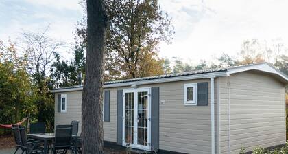 Cheerful Mobile Home Near Park De Veluwe