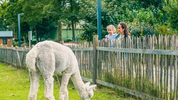 Villa | Property grounds