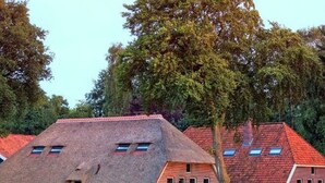 Billede uden beskrivelse, 3 af 25, knap