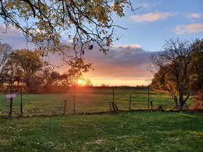 Unclassified image, 3 of 15, button