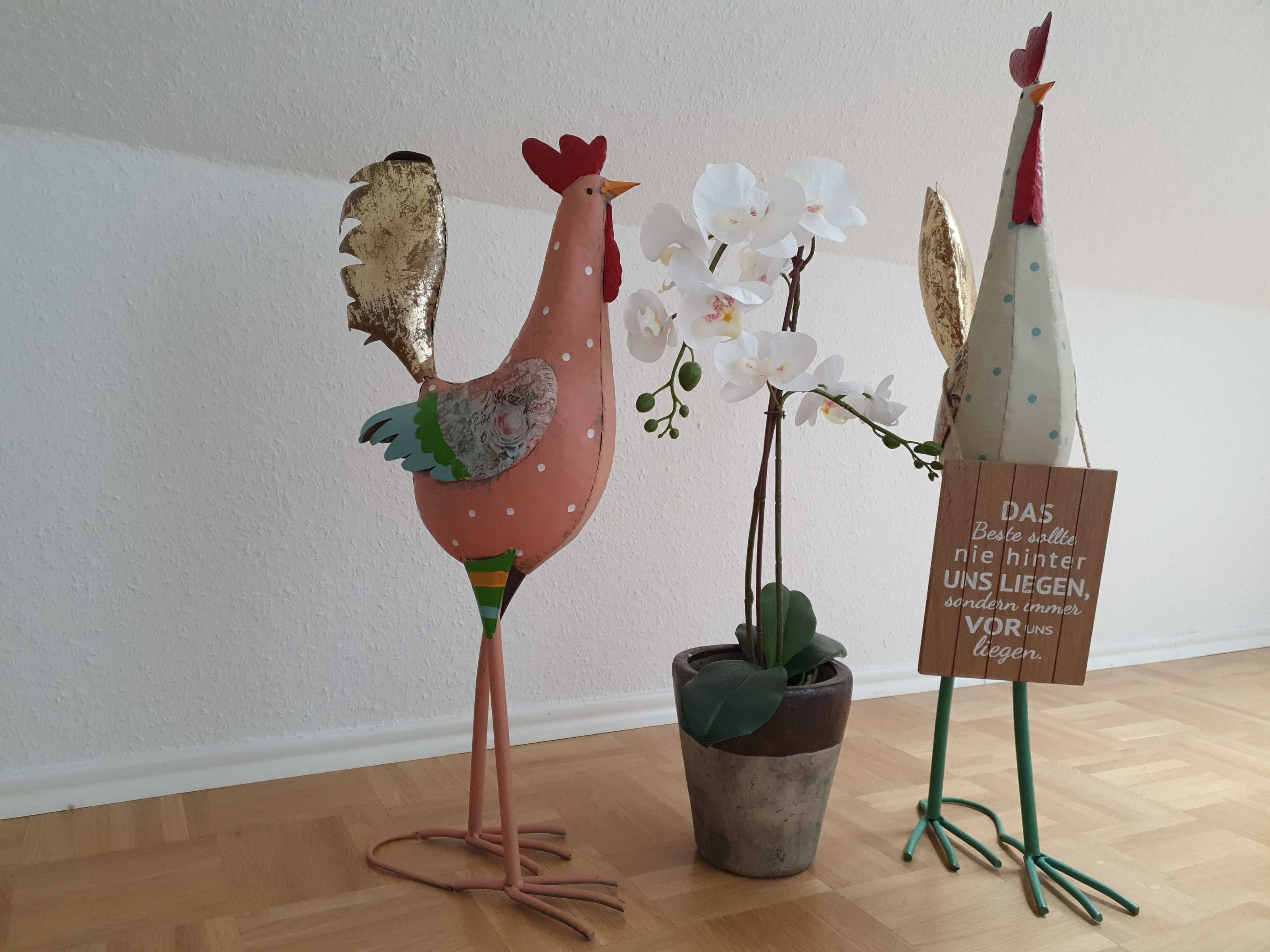Un gallo decorativo, orquídeas blancas y un letrero con texto en alemán en una habitación con suelo de madera.