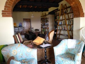 TV connectée, cheminée, livres