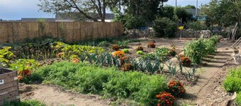 Magnificent Gîte between AUBRAC and MARGERIDE