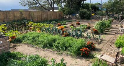 Magnificent Gîte between AUBRAC and MARGERIDE