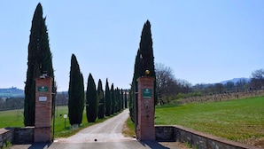 Un sentier bordé de cyprès majestueux mène à un bâtiment sur lequel est apposée une enseigne indiquant « Torrefazione Toscana ».
