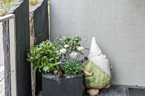 A planter with green foliage and flowers, a decorative gnome, and a concrete wall.