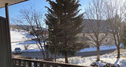 Cozy Studio Near Village - Balcony, Mountain Views, Shuttle Access