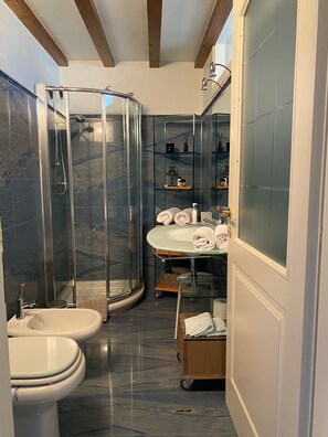 Een douche, een haardroger, een bidet, handdoeken
