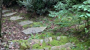 Un sentier de pierres serpente à travers une zone boisée, bordé de rochers couverts de mousse et d’une végétation luxuriante.