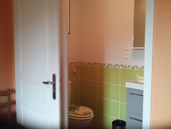 A bathroom with a toilet, a trash bin, and a sink.