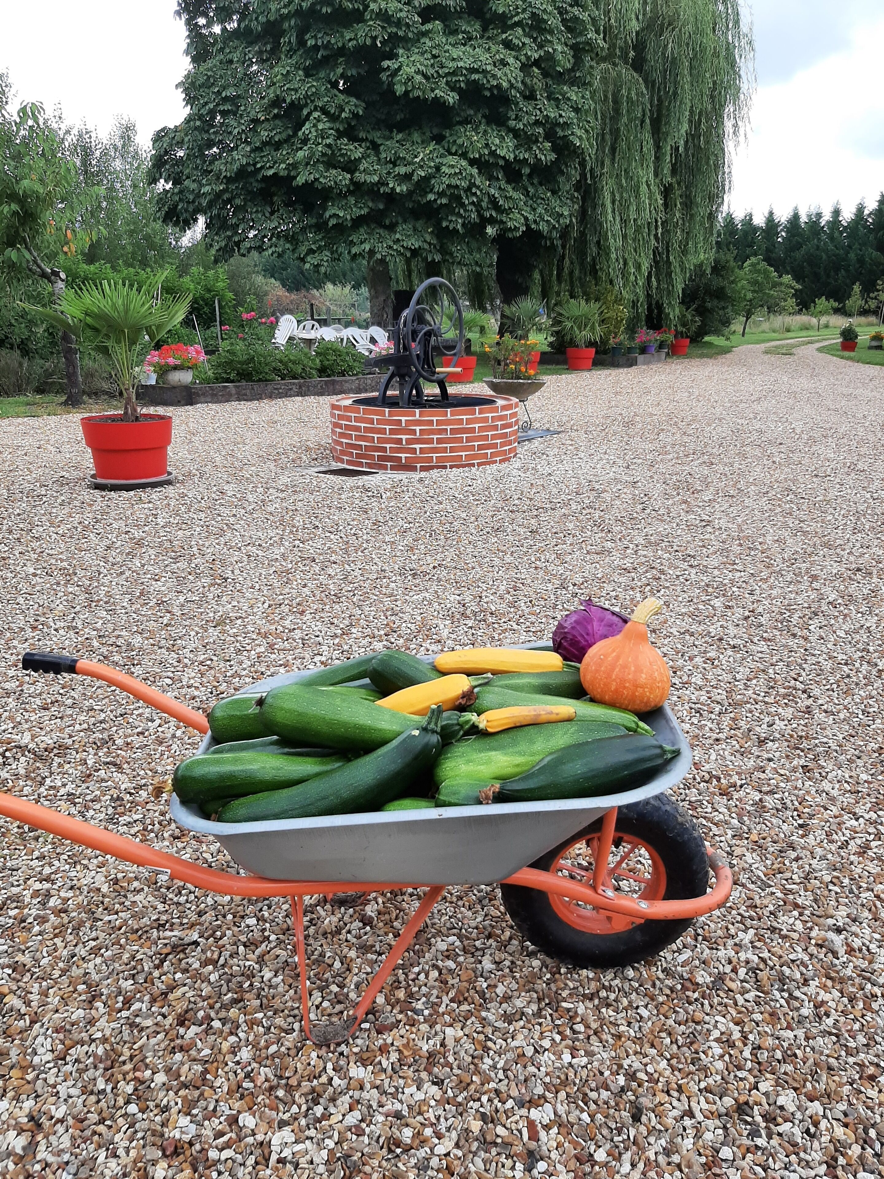 Restauration familiale