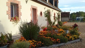 Un edificio con fachada de ladrillo, múltiples ventanas y un jardín con diversas plantas y flores.