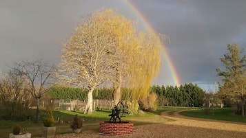 Un parco con una statua su un piedistallo in mattoni, circondato da alberi e da un vialetto sterrato.